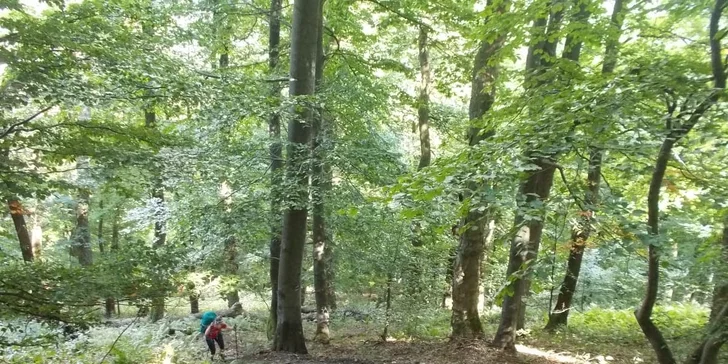 Staňte se moderním zálesákem s kurzy ultralehké turistiky na 4 hodiny nebo i na celý víkend