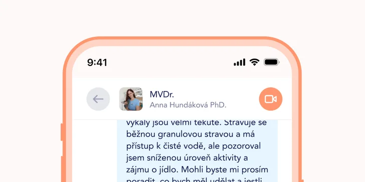 Aplikace tlappka - 24/7 online přístup k veterináři a průvodce správnou péčí na míru