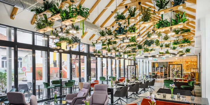 Wellness pobyt ve vyhlášené vinařské oblasti Tokaj: polopenze i celodenní vstup do wellness