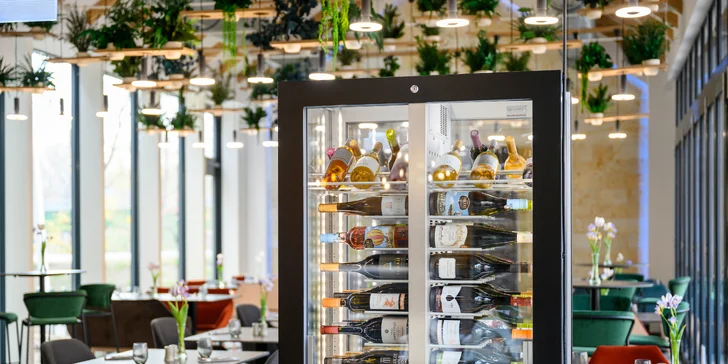 Wellness pobyt ve vyhlášené vinařské oblasti Tokaj: polopenze i celodenní vstup do wellness