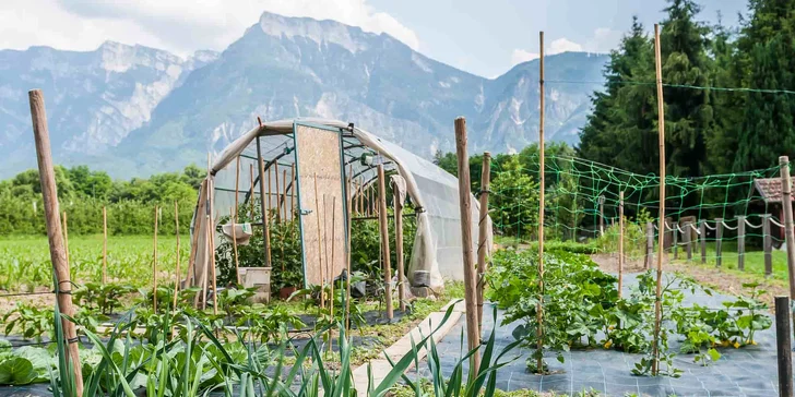 Wellness pobyt s plnou penzí v italských Alpách: hotel s bio zahradou, bazénem a spa u Terme di Levico