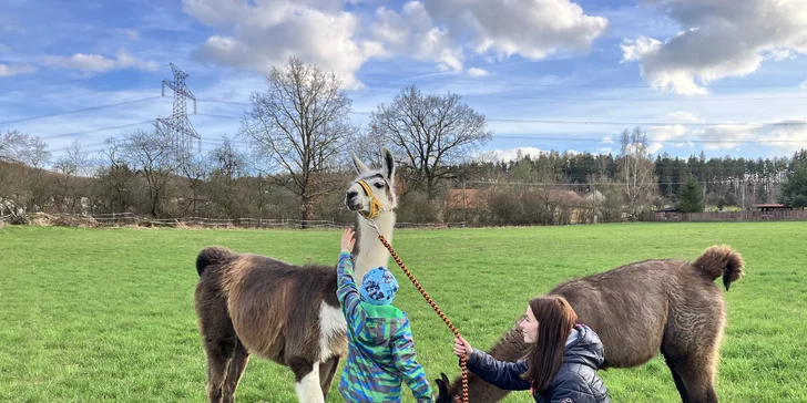 Zážitkový balíček na farmě vč. lamatrekingu, jízdy na koni a dárku