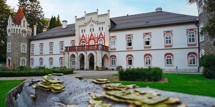 Piknikový koš plný dobrot i lahev prosecca v zámeckém parku Chateau Herálec