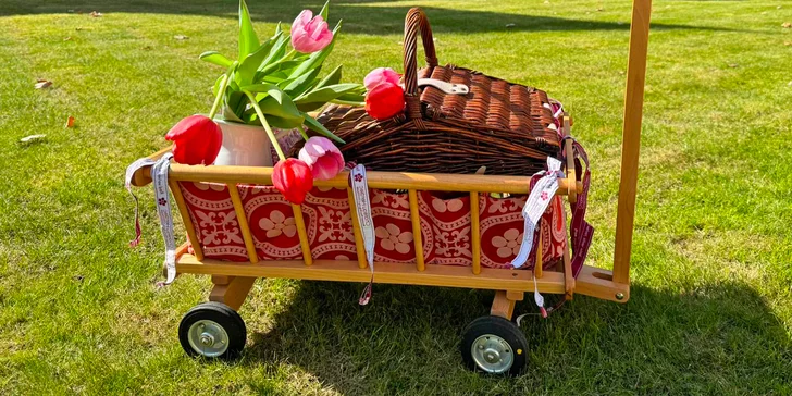 Piknikový koš plný dobrot i lahev prosecca v zámeckém parku Chateau Herálec
