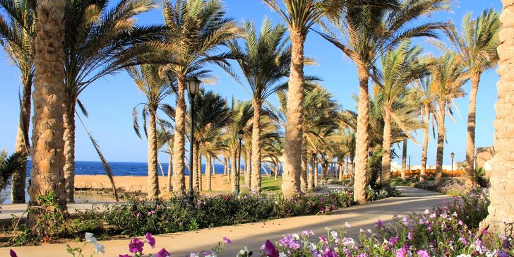 Egypt: 5* hotel Royal Brayka Beach Resort, all inclusive, dětský klub Čedog i let