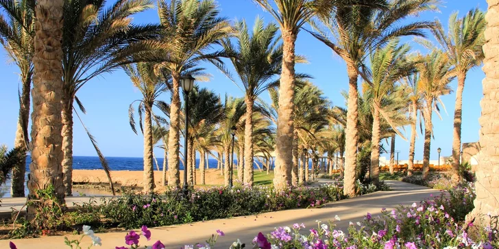 Egypt: 5* hotel Royal Brayka Beach Resort, letecky s all inclusive