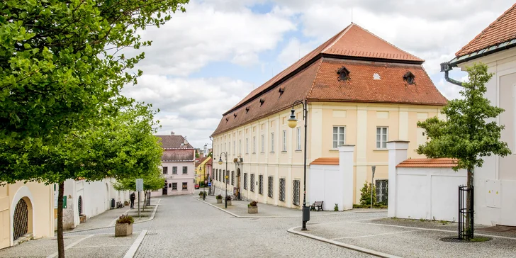 Vstup do Synagogy i Hraběcí rezidence pro jednoho či pro rodinu
