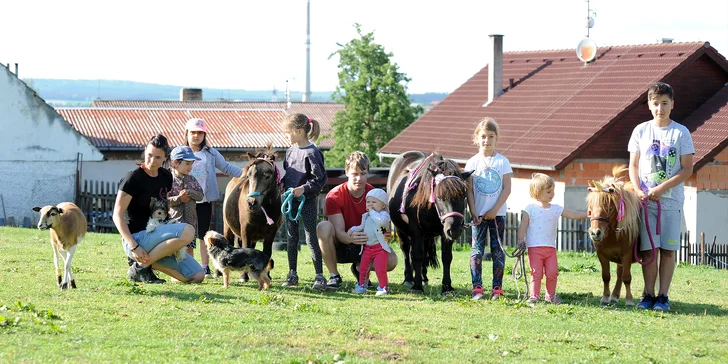 Ošetřovatelem lam na zkoušku, lamatreking i vstup na farmu až pro 5 osob
