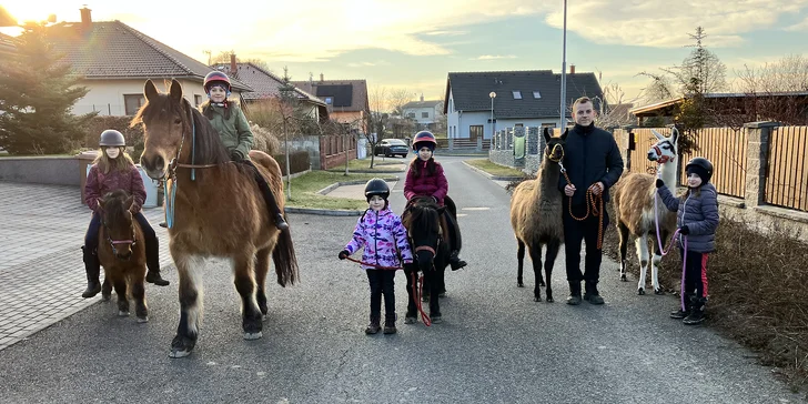 Zážitkový balíček na farmě vč. lamatrekingu, jízdy na koni a dárku