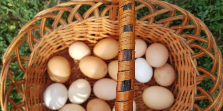 Rodinný penzion na bio farmě na úpatí Volovských vrchů: polopenze, wellness, zvířátka a příroda