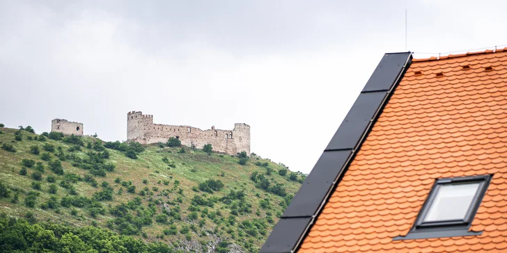 Pobyt v Pavlově vč. degustace vín, obloženého prkénka a welcome drinku