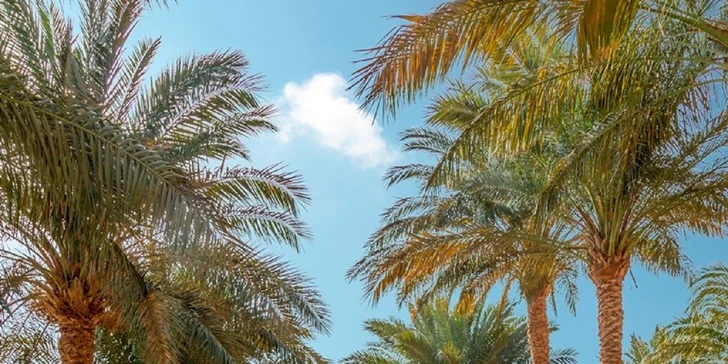 Dovolená v Egyptě: 4* hotel Siva Grand Beach na pláži v oblasti Hurghady, all inclusive i letenky