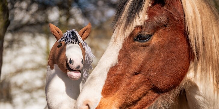 Hobby horsing: individuální parkurový, drezurní i westernový trénink, začátečníci i pokročilí