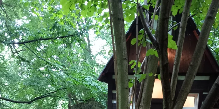 Pobyt ve stylové mini chaloupce uprostřed sázavských lesů