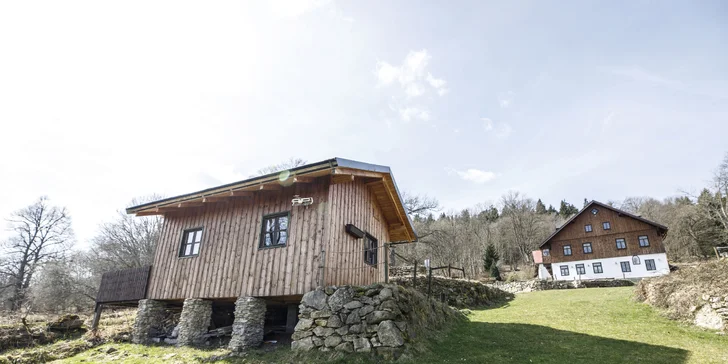 Léto v srdci Šumavy: krásný hotel s polopenzí a bazénem