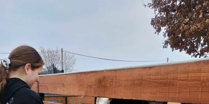 Tematická hra Honba za pokladem farmáře na skutečné farmě se zvířaty