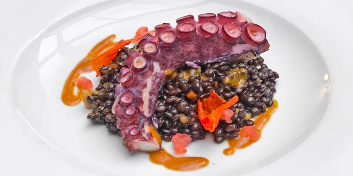 Pětichodové degustační menu se steakem, chobotnicí či jelenem i s možností wellness pro 2 osoby