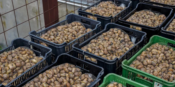 Exkurze na šnečí farmu včetně 5chodového degustačního menu s moravským vínem k tomu