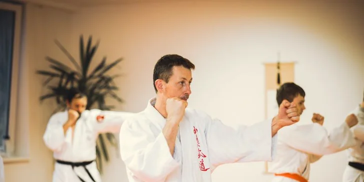 Měsíční permanentka na sport a 150 minut ve wellness: bojové umění i kondiční cvičení