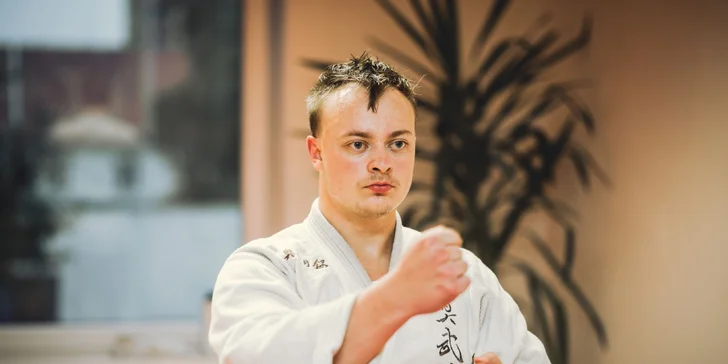 Měsíční permanentka na sport a 150 minut ve wellness: bojové umění i kondiční cvičení
