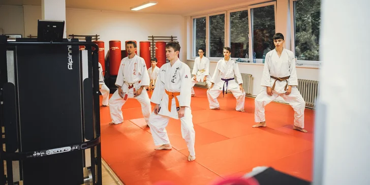 Měsíční permanentka na sport a 150 minut ve wellness: bojové umění i kondiční cvičení