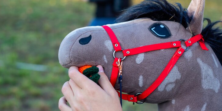 Hobby horsing: individuální parkurový, drezurní i westernový trénink, začátečníci i pokročilí