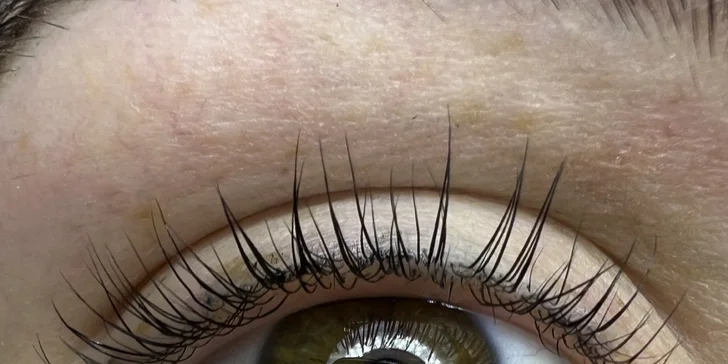 Úprava obočí, lash lifting nebo laminace obočí vč. barvení