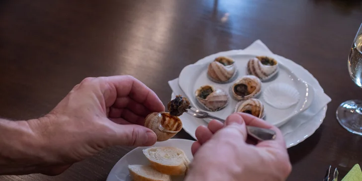 Exkurze na šnečí farmu včetně 5chodového degustačního menu s moravským vínem k tomu
