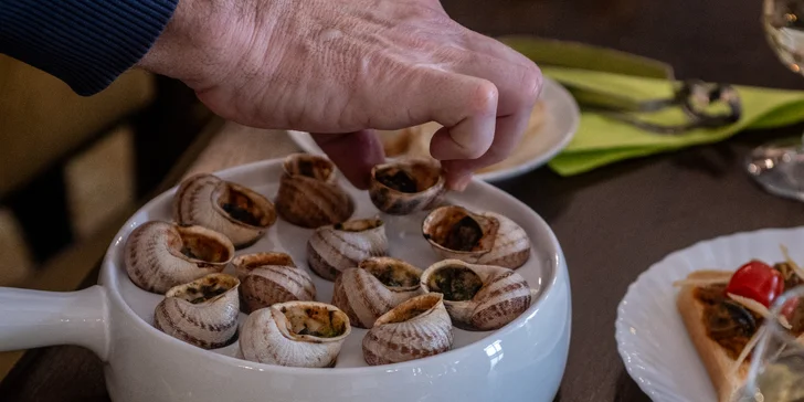 Exkurze na šnečí farmu včetně 5chodového degustačního menu s moravským vínem k tomu