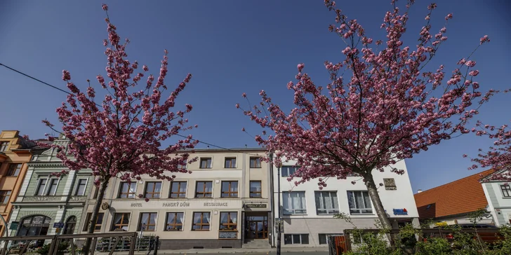 Oddech na Plzeňsku: nově zrekonstruovaný hotel, polopenze i vířivka na pokoji