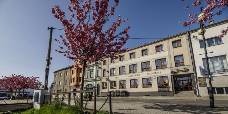 Oddech na Plzeňsku: nově zrekonstruovaný hotel, polopenze i vířivka na pokoji
