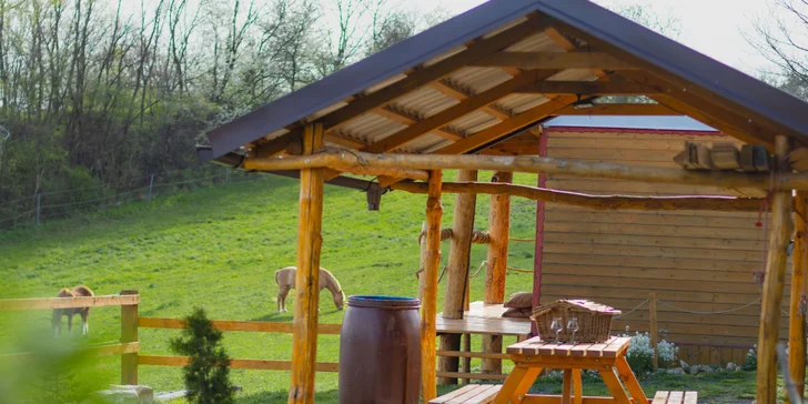 Pobyt mezi zvířátky na ranči: karavan, chatka či maringotka, mini zoo, koně a možnost snídaní