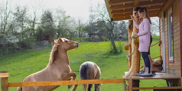 Pobyt se snídaní mezi zvířátky v rančerském karavanu, maringotce nebo chatce s možností programu s koňmi