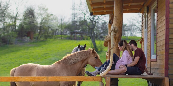 Pobyt se snídaní mezi zvířátky v rančerském karavanu, maringotce nebo chatce s možností programu s koňmi