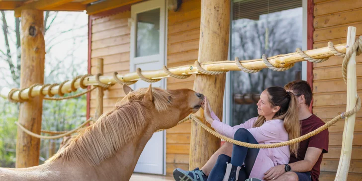 Pobyt mezi zvířátky na ranči: karavan, chatka či maringotka, mini zoo, koně a možnost snídaní
