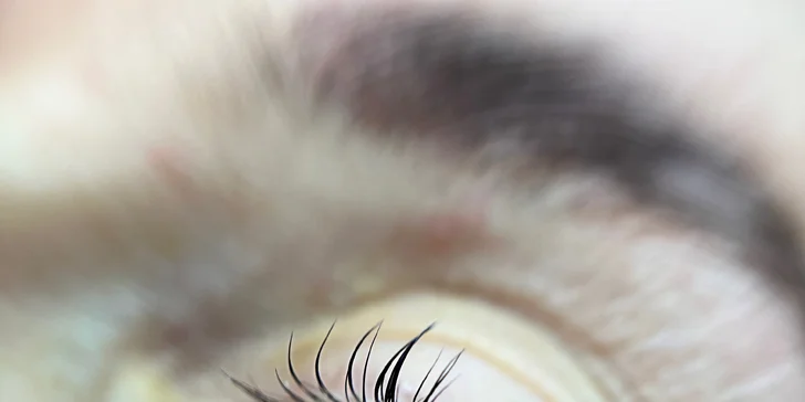 Barvení, lash lifting, laminace obočí vč. úpravy nebo kompletní balíček