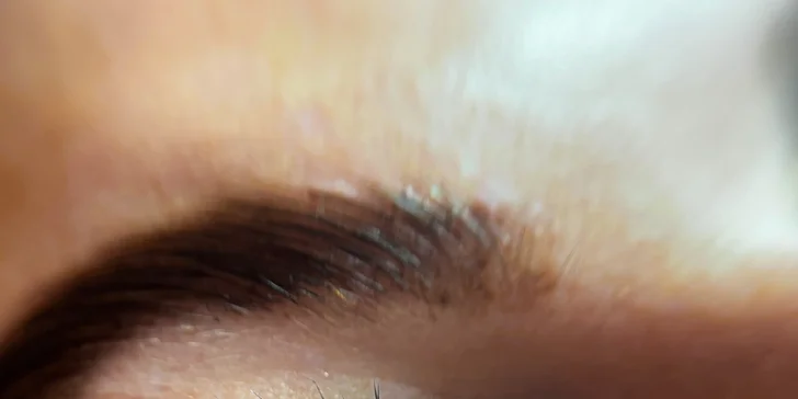 Barvení, lash lifting, laminace obočí vč. úpravy nebo kompletní balíček
