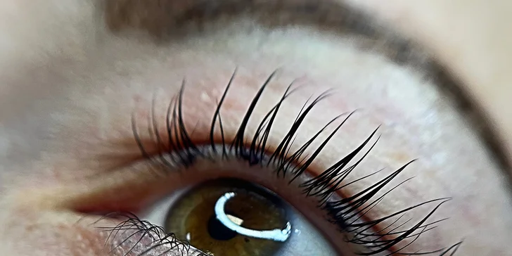 Barvení, lash lifting, laminace obočí vč. úpravy nebo kompletní balíček