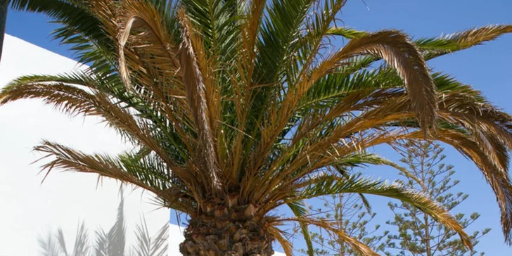 Letecky na Lanzarote: 3* Aparthotel The Morromar, all inclusive, bazén, pláž 450 m od hotelu
