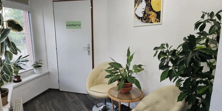 Barvení, zesvětlení, střih, styling, kúra i čištění Malibu C pro všechny délky vlasů