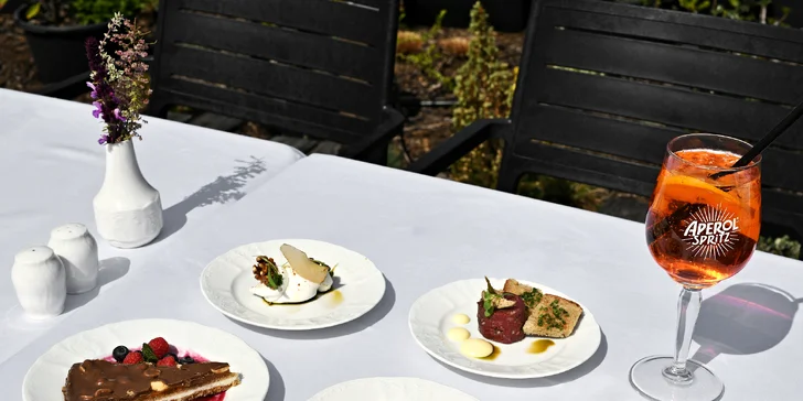 Tříchodový masový nebo vege gastro zážitek i s neomezenou konzumací vína a výhledem na Prahu