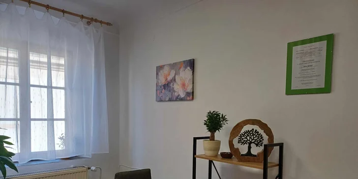 Boží odpočinek: relaxační nebo havajská masáž, 60-90 min.