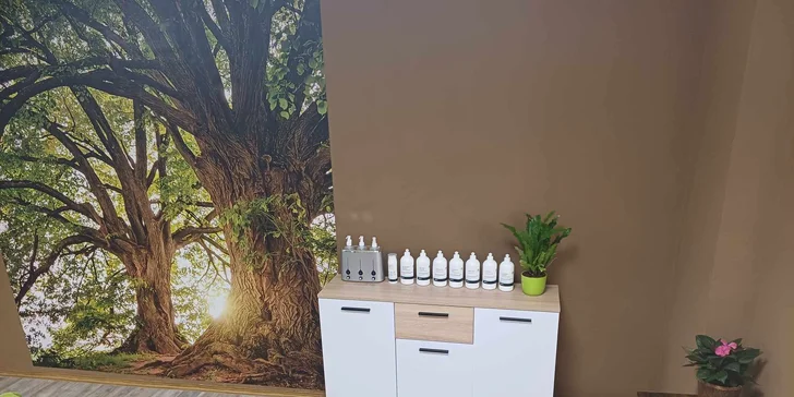 Boží odpočinek: relaxační nebo havajská masáž, 60-90 min.