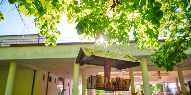 Pobyt v Lázních Sliač s balíčkem léčebných procedur, plnou penzí a vstupem do Holidaypark Kováčová