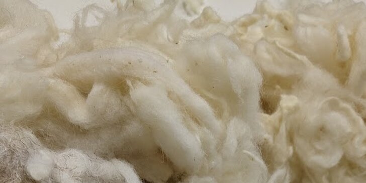 Kurz zpracování vlny vč. výroby koulí do sušičky: suché i mokré plstění
