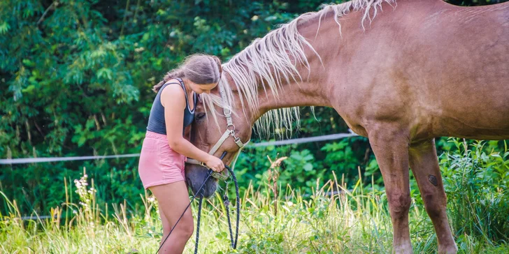 Ubytování v penzionu na statku Český dvůr: snídaně a jízda na koni