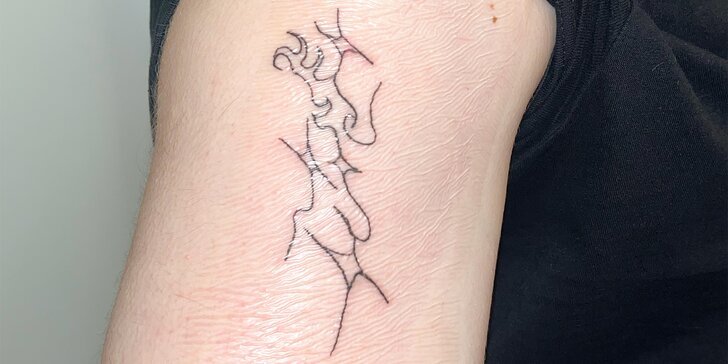 Tetování do 5 nebo 10 cm od Agi's tattoos: obrázek na míru či výběr z hotových návrhů