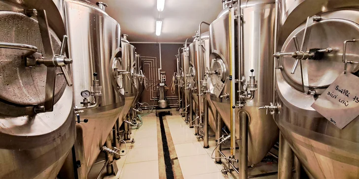 Prohlídka pivovaru Vikštejn s podrobným výkladem a degustací mladých piv pro 1-4 osoby