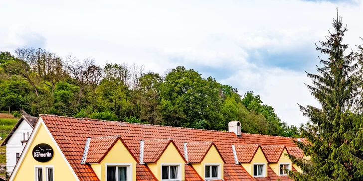 Pobyt na jižní Moravě: snídaně i 3chodová večeře či půjčení elektrokol