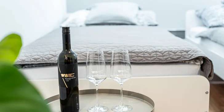 Pobyt ve vinařství ve Velkých Bílovicích i degustace vín: apartmán nebo celý penzion až pro 8 osob